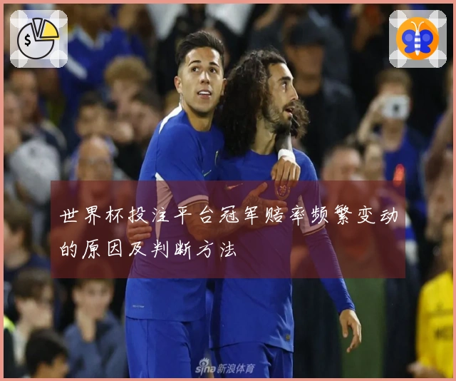 世界杯投注平台冠军赔率频繁变动的原因及判断方法