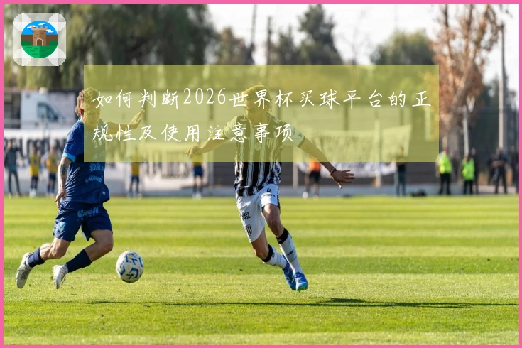 如何判断2026世界杯买球平台的正规性及使用注意事项
