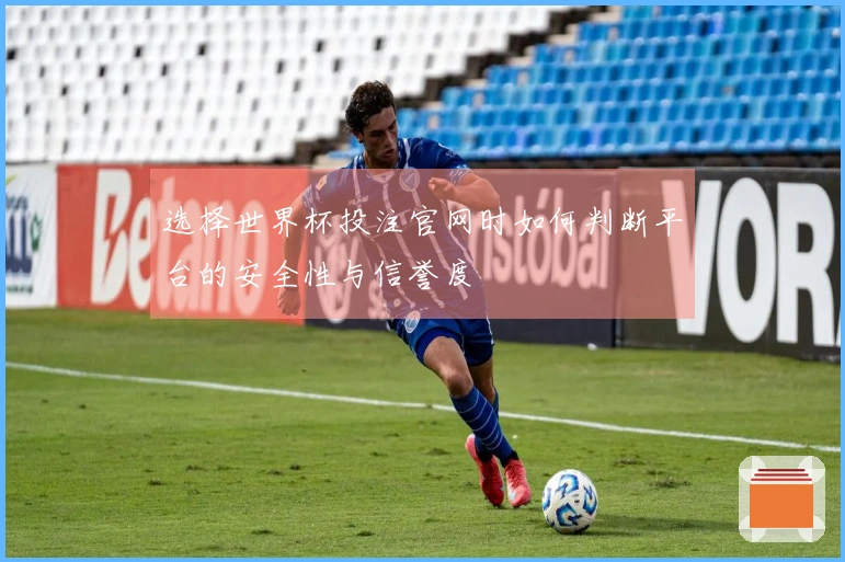 选择世界杯投注官网时如何判断平台的安全性与信誉度