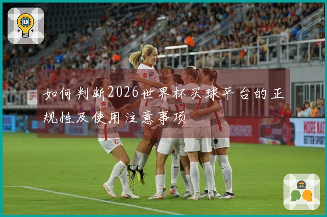 如何判断2026世界杯买球平台的正规性及使用注意事项