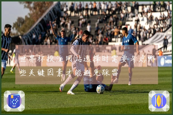 世界杯投注网站选择时需要考虑哪些关键因素才能避免踩雷