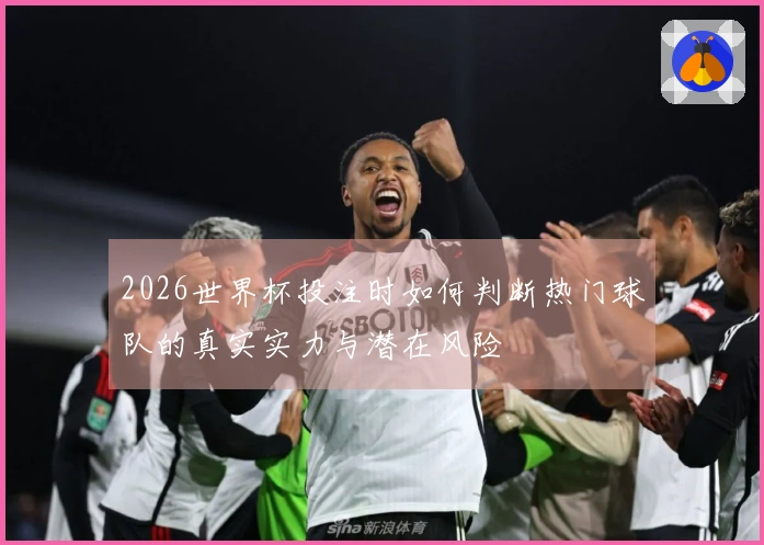 2026世界杯投注时如何判断热门球队的真实实力与潜在风险