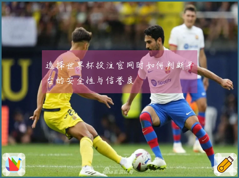选择世界杯投注官网时如何判断平台的安全性与信誉度