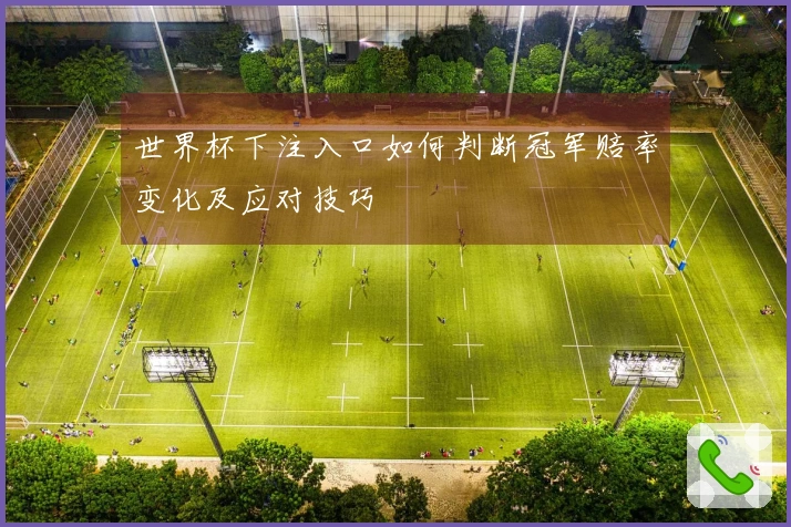 世界杯下注入口如何判断冠军赔率变化及应对技巧